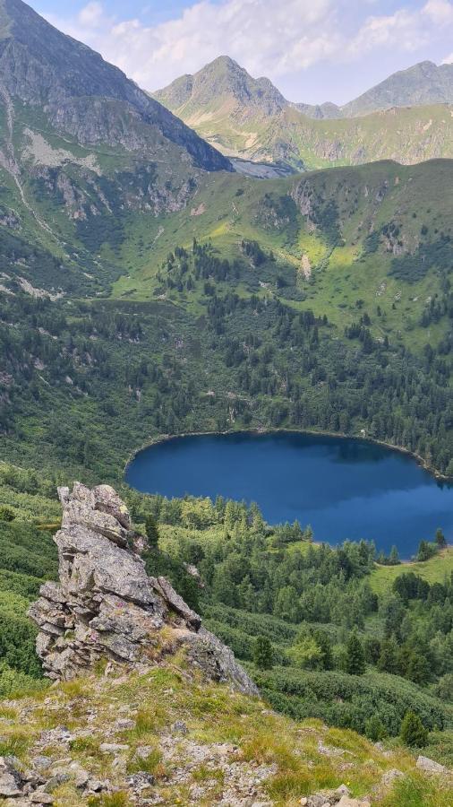 Haus Emmy - Urlaub Bei Freunden Villa Hohentauern Dış mekan fotoğraf