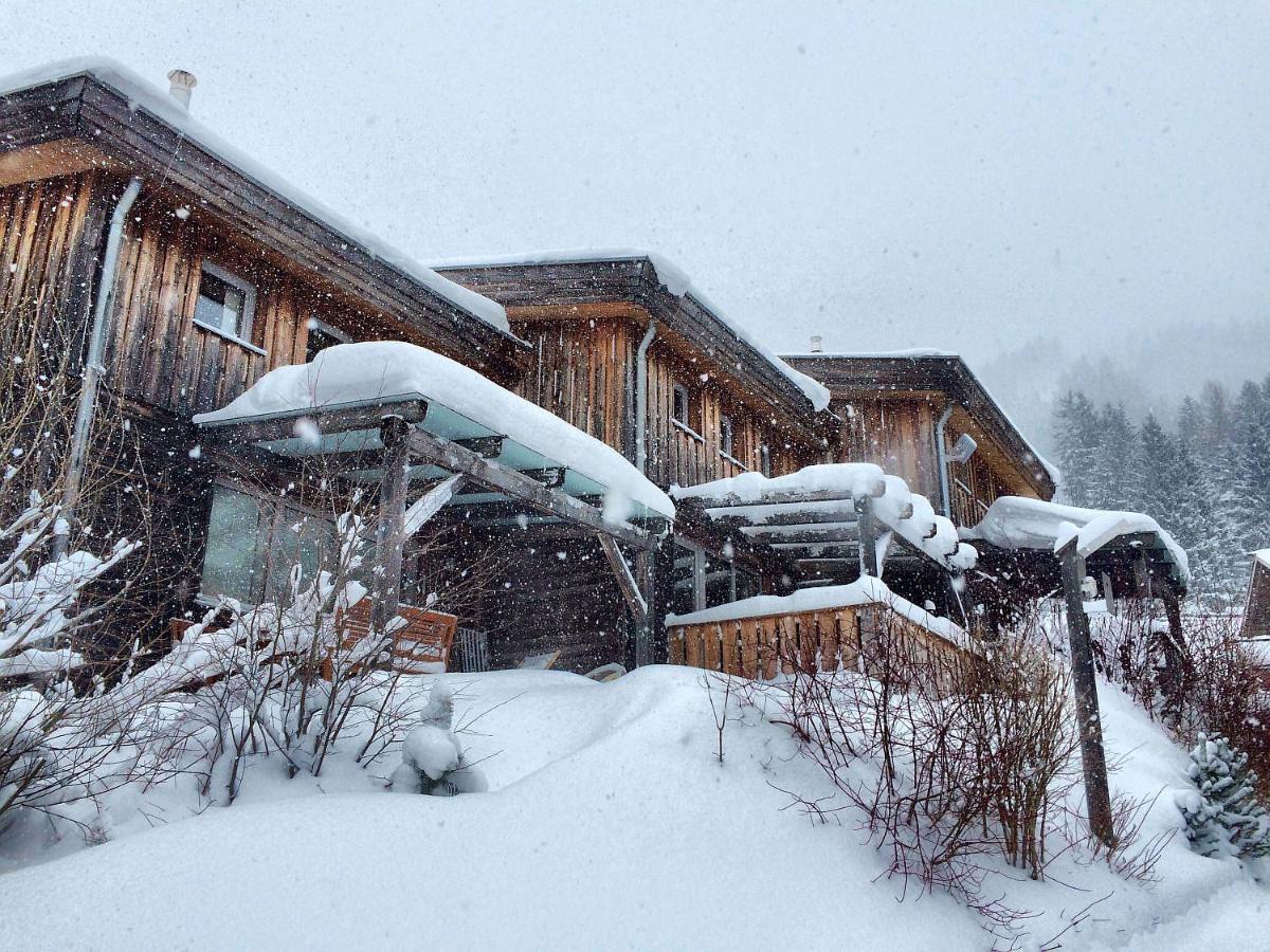 Haus Emmy - Urlaub Bei Freunden Villa Hohentauern Dış mekan fotoğraf