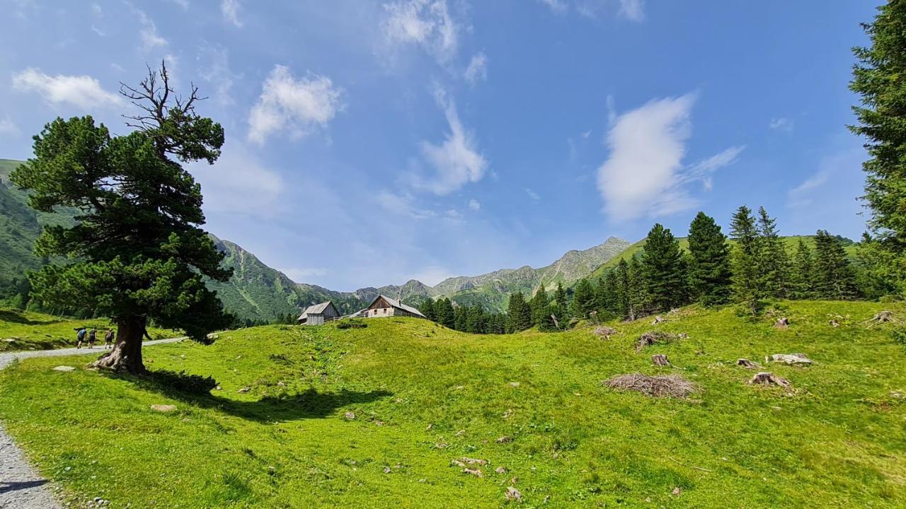Haus Emmy - Urlaub Bei Freunden Villa Hohentauern Dış mekan fotoğraf