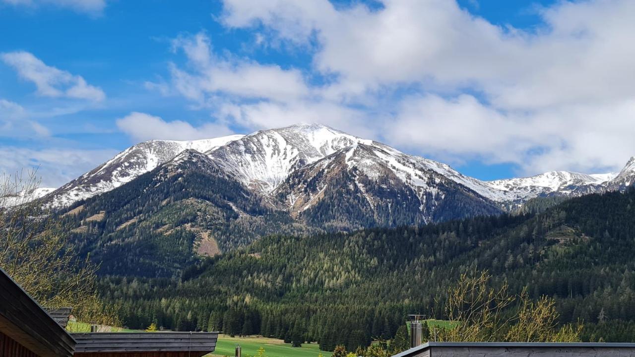 Haus Emmy - Urlaub Bei Freunden Villa Hohentauern Dış mekan fotoğraf