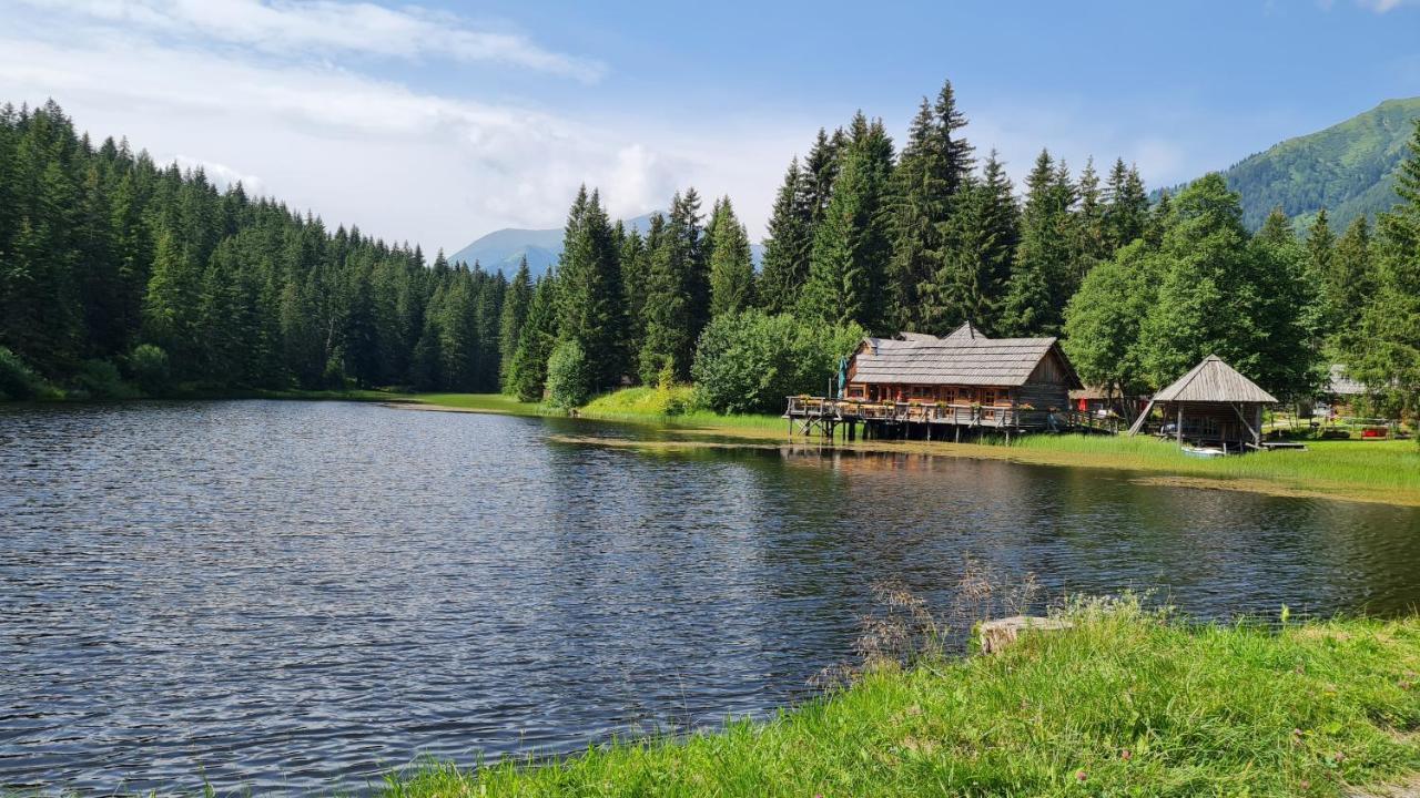 Haus Emmy - Urlaub Bei Freunden Villa Hohentauern Dış mekan fotoğraf