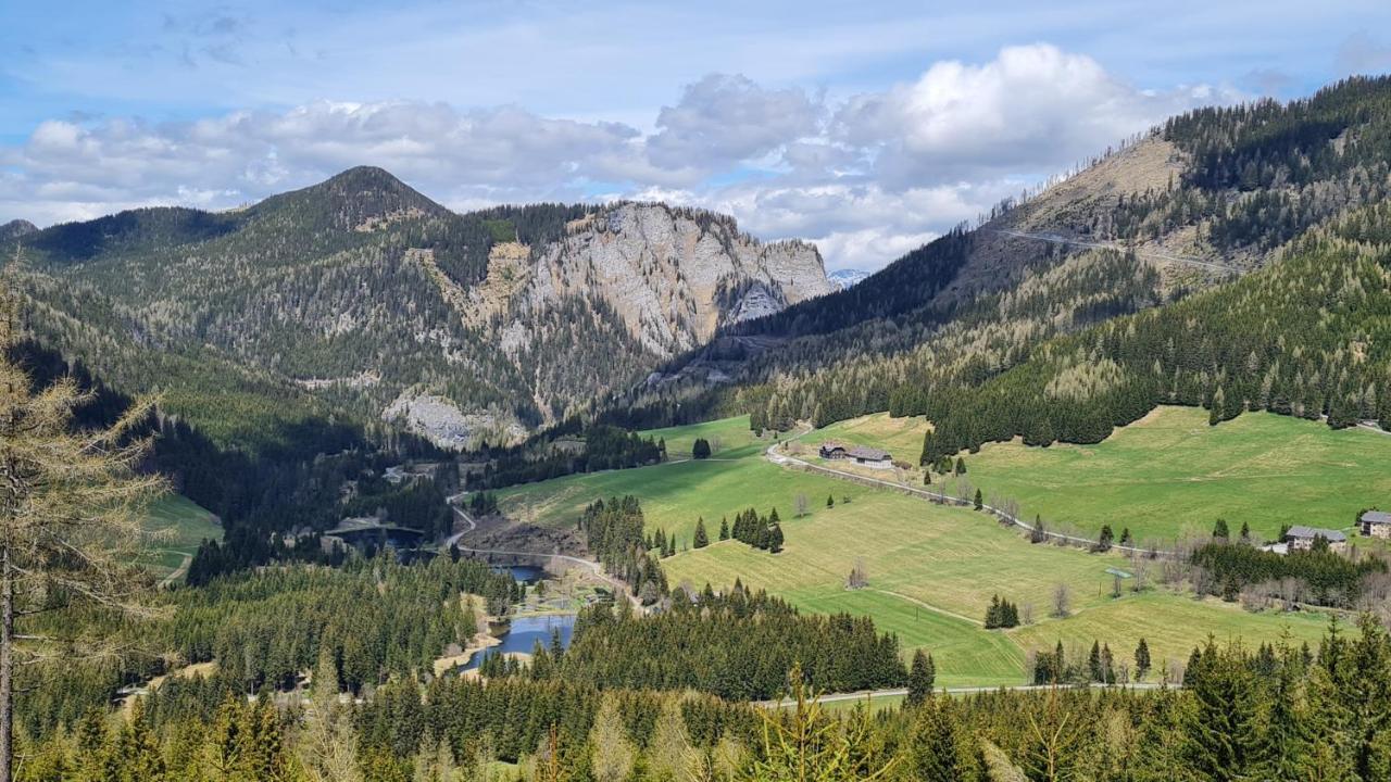 Haus Emmy - Urlaub Bei Freunden Villa Hohentauern Dış mekan fotoğraf